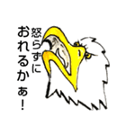 White head eagle怒り（個別スタンプ：14）