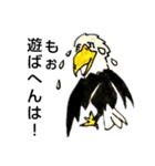 White head eagle怒り（個別スタンプ：22）