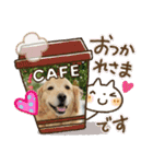 うちのこスタンプパート4（個別スタンプ：18）