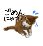 猫の館ME LINE スタンプ Vol.1（個別スタンプ：6）