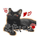 猫の館ME LINE スタンプ Vol.1（個別スタンプ：7）