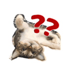 猫の館ME LINE スタンプ Vol.1（個別スタンプ：9）