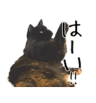猫の館ME LINE スタンプ Vol.1（個別スタンプ：14）