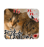 猫の館ME LINE スタンプ Vol.1（個別スタンプ：21）
