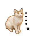 猫の館ME LINE スタンプ Vol.1（個別スタンプ：30）