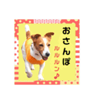 ジャックのロッタちゃん☆2（個別スタンプ：20）