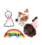 ジャックのロッタちゃん☆2（個別スタンプ：21）