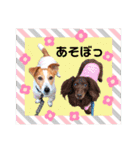 ジャックのロッタちゃん☆2（個別スタンプ：22）