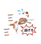 ジャックのロッタちゃん☆2（個別スタンプ：23）