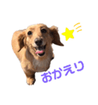 愛しのくっきーさん（個別スタンプ：15）