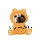 かわいいあいけんたち（個別スタンプ：5）