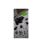北海道の熊！（個別スタンプ：20）