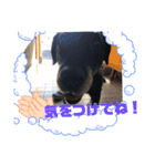 ロックだよ（個別スタンプ：11）