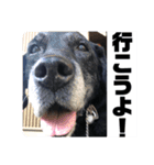ロックだよ（個別スタンプ：14）