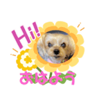 しずちゃんといっしょ☆（個別スタンプ：2）