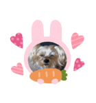 しずちゃんといっしょ☆（個別スタンプ：3）