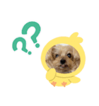しずちゃんといっしょ☆（個別スタンプ：8）
