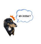 いぬの王子様NO.2（個別スタンプ：3）