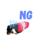 いぬの王子様NO.2（個別スタンプ：7）