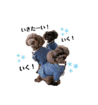 Blanc❤︎Noa feat.TARO.2020（個別スタンプ：1）