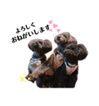 Blanc❤︎Noa feat.TARO.2020（個別スタンプ：2）