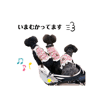 Blanc❤︎Noa feat.TARO.2020（個別スタンプ：6）