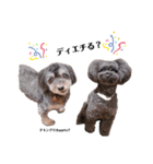 Blanc❤︎Noa feat.TARO.2020（個別スタンプ：11）