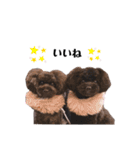 Blanc❤︎Noa feat.TARO.2020（個別スタンプ：13）