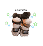 Blanc❤︎Noa feat.TARO.2020（個別スタンプ：15）