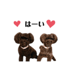 Blanc❤︎Noa feat.TARO.2020（個別スタンプ：16）