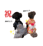 Blanc❤︎Noa feat.TARO.2020（個別スタンプ：18）