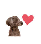 Blanc❤︎Noa feat.TARO.2020（個別スタンプ：20）