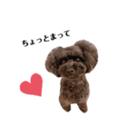 Blanc❤︎Noa feat.TARO.2020（個別スタンプ：28）