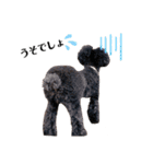 Blanc❤︎Noa feat.TARO.2020（個別スタンプ：31）