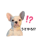 毎日こいちろう（個別スタンプ：14）