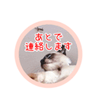 るーだますたんぷ3（個別スタンプ：5）