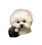 犬専用スタンプ❤（個別スタンプ：7）