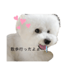 犬専用スタンプ❤（個別スタンプ：8）