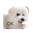 犬専用スタンプ❤（個別スタンプ：9）