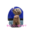 pola 2（個別スタンプ：3）