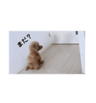 pola 2（個別スタンプ：9）