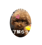 pola 2（個別スタンプ：12）