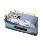 なつっこ 久穏(くおん)ちゃんฅ•ω•ฅ（個別スタンプ：4）