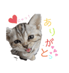 なつっこ 久穏(くおん)ちゃんฅ•ω•ฅ（個別スタンプ：5）