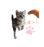 なつっこ 久穏(くおん)ちゃんฅ•ω•ฅ（個別スタンプ：8）