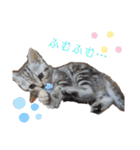 なつっこ 久穏(くおん)ちゃんฅ•ω•ฅ（個別スタンプ：9）