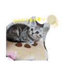 なつっこ 久穏(くおん)ちゃんฅ•ω•ฅ（個別スタンプ：14）