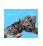なつっこ 久穏(くおん)ちゃんฅ•ω•ฅ（個別スタンプ：20）