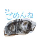なつっこ 久穏(くおん)ちゃんฅ•ω•ฅ（個別スタンプ：21）