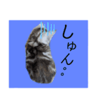 なつっこ 久穏(くおん)ちゃんฅ•ω•ฅ（個別スタンプ：22）
